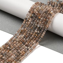 Multi-Moonstone Нити из натуральных бусин из нескольких лунных камней, граненые, рондель, 4x3 мм, отверстие : 0.7 мм, около 132 шт / нитка, 15.24'' (38.7 см)