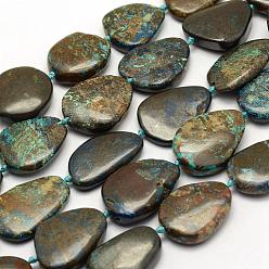 Chrysocolla Natural Chrysocolla Beads Strands, teardrop, 21~28x18~23x3~8mm, Hole: 1mm, about 15pcs/strand, 16.7 inch