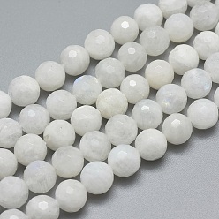 Rainbow Moonstone Natural Rainbow Moonstone Beads Strands, Faceted, Round, 8mm, Hole: 1mm, about 49pcs/strand, 15.7 inch(40cm)