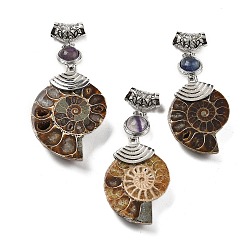 Флюорит Подвески в виде улитки из натурального флюорита, со сплавочной фурнитурой, Платиновый металл, 58~78x29~35x8~9 мм, отверстие : 4x6 мм