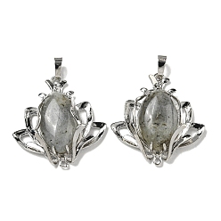 Лабрадорита Природные подвески лабрадорита, подвески-цветы со стойкой, фурнитура из латуни, платина, без кадмия и без свинца, 37x35x10 мм, отверстия : 8x5 mm и 1.6 мм