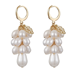 Seashell Color Golden 304 Stainless Steel Leverback Earrings, Natural Pearl Cluster Earrings, Seashell Color, 48~48.5x20mm