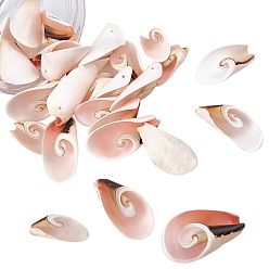 Seashell Color Natural Freshwater Shell Beads, Seashell Color, 30~45x15~25x10~15mm, Hole: 1mm, about 30pcs/box