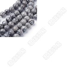 Map Stone CHGCRAFT 4 Strands Natural Map Stone/Picasso Stone/Picasso Jasper Beads Strands, Round, 10mm, Hole: 1mm, about 39pcs/strand, 15.5 inch