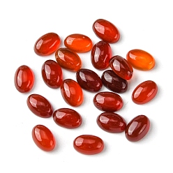 Red Agate Natural Red Agate Cabochons, Oval, 6x4x2~2.5mm