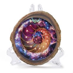 Shell Shape Печатный орнамент из кусочков натурального агата, декор для домашнего офиса на удачу, формы раковины, 100~125x105~150x7.5~8 мм