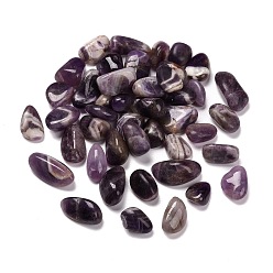 Amethyst Natural Amethyst Beads, No Hole, Nuggets, Tumbled Stone, Healing Stones for 7 Chakras Balancing, Crystal Therapy, Meditation, Reiki, Vase Filler Gems, 9~45x8~35x4~30mm, about 47~143pcs/1000g