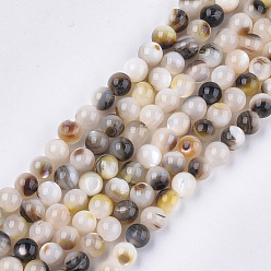Black Black Lip Shell Beads Strands, Round, Black, 6mm, Hole: 0.9mm, about 67pcs/strand, 15.1 inch