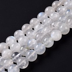 Rainbow Moonstone Natural Rainbow Moonstone Beads Strands, Round, 10mm, Hole: 1mm, about 38pcs/strand, 15.67''(39.8cm)