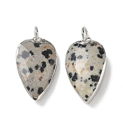 Dalmatian Jasper Natural Dalmatian Jasper Pendants, with Brass Edge Loops, Faceted, Heart Charms, 23~23.5x12~12.5x5.5mm, Hole: 3mm