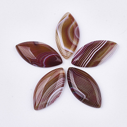 Saddle Brown Natural Brazilian Agate Cabochons, Dyed, Horse Eye, Saddle Brown, 38~40x19~20x6~7mm
