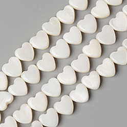 Creamy White Natural Freshwater Shell Beads Strands, Heart, Creamy White, 6x6x3mm, Hole: 0.8mm, about 66pcs/strand, 15.28 inch(38.8cm)