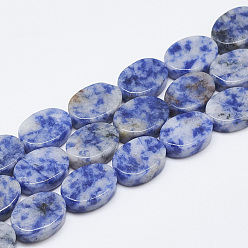 Синий Камнь с Пятнами Натуральное синее пятно нитки из бисера яшмы, овальные, 14~15x10~11x5 мм, отверстие : 1 мм, около 28 шт / нитка, 15.3 дюйм ~ 16.1 дюйм