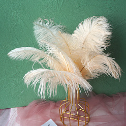 Old Lace Ostrich Feather Ornament Accessories, for DIY Costume, Hair Accessories, Backdrop Craft, Old Lace, 200~250mm
