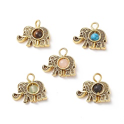 Elephant Natural & Synthetic Mixed Gemstone Pendants, Animal Charm, with Antique Golden Plated Tibetan Style Alloy Findings and Iron Loops, Mixed Dyed and Undyed, Elephant Pattern, 15.5x18x4mm, Hole: 2.5mm