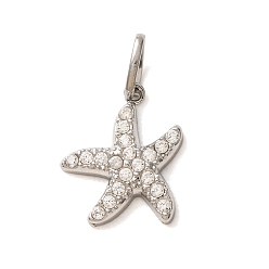 Color de Acero Inoxidable 304 dijes de circonita cúbica transparentes micro pavé de acero inoxidable, encantos de estrellas de mar, color acero inoxidable, 13.5x11x2.5 mm, agujero: 4x2.5 mm
