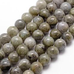 Labradorite Labradorite naturelle rangées de perles, ronde, 12mm, Trou: 1mm, Environ 31 pcs/chapelet, 14.9 pouces ~ 15.1 pouces