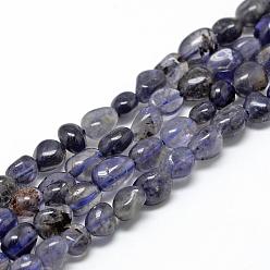 Iolite Natural Cordierite/Iolite/Dichroite Beads Strands, Oval, 6~10x4~7x4~7mm, Hole: 1mm, about 43~62pcs/strand, 15.7 inch