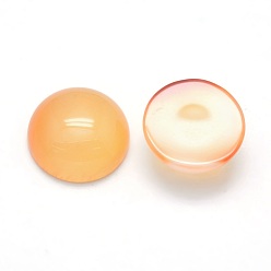 Natural Agate Natural Light Salmon Agate Cabochons, Half Round, 12x5~6mm