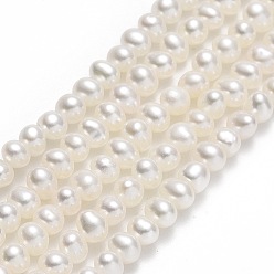 Beige Natural Cultured Freshwater Pearl Beads Strands, Potato, Beige, 2.5~3.5x3~4.5x3~4.5mm, Hole: 0.5mm, about 110~123pcs/strand, 14.17~15.55 inch(36~39.5cm)
