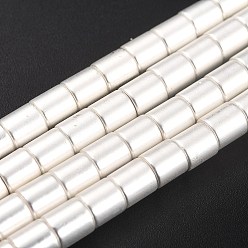 Silver Plated Non-magnetic Synthetic Hematite Beads Strands, Galvanic Plating(Color Retention for 1 Year), Column, Silver Plated, 6x6mm, Hole: 1mm, about 66pcs/strand, 15.91 inch(40.4cm)