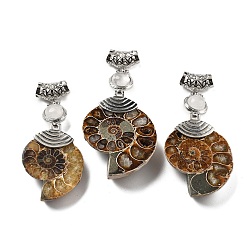 Хрусталь Подвески из натурального кварцевого кристалла в виде окаменелой улитки, со сплавочной фурнитурой, Платиновый металл, 58~78x29~35x8~9 мм, отверстие : 4x6 мм