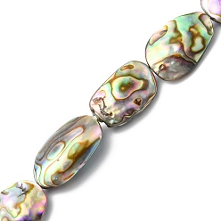 Paua Shell Natural Paua Shell Beads Strands, Nuggets, 13.5~21x9~12.5x2~5mm, Hole: 0.5mm, about 22pcs/strand, 16.54 inch(42cm)