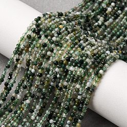 Мосс Агат Природные моховой агат бисер нитей, граненые круглые, 2 мм, отверстие : 0.8 мм, около 245 шт / нитка, 15.94'' (40.5 см)