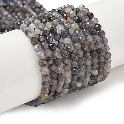 Айолит Природные иолит нитей бисера, граненые, круглые, 4 мм, отверстие : 0.7 мм, около 89 шт / нитка, 15.16'' (38.5 см)
