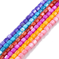 Mixed Color Natural Freshwater Shell Beads Strands, Mixed Dyed and Undyed, Column, Mixed Color, 3.5x3.5mm, Hole: 0.8mm, about 110~113pcs/strand, 14.69 inch~15.08 inch(37.3~38.3cm)