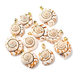 Seashell Color Natural Spiral Shell Red Lip Shell Pendants, Shell Charms with Golden Plated Brass Findings, Seashell Color, 22~29x19~24x11.5~14.5mm, Hole: 4.5x3.5mm