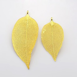 Golden Natural Leaf Plating Brass Large Pendants, Golden, 50~95x20~60x0.6mm, Hole: 3.5mm