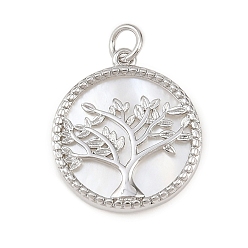 Платина Натуральный белый оболочки подвески, плоский круглый с подвесками в виде деревьев, с латунной фурнитурой , без кадмия и без свинца, стойки покрытие, долговечный, платина, 20x18x2.5 мм, отверстие : 3 мм