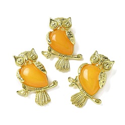 Белый Нефрит Естественно окрашенные белый нефрит кулоны, латунные совьи амулеты, золотые, стойки покрытие, без кадмия и без свинца, оранжевые, 36.5x26.5x7.5 мм, отверстие : 6.5x4.5 мм