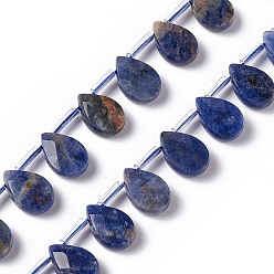 Sodalite Natural Sodalite Beads Strands, Top Drilled Beads, Faceted, Teardrop, 12x8x4mm, Hole: 0.7mm, about 32pcs/strand, 15.08~15.24 inch(38.3~38.7cm)