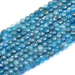 Apatite Natural Apatite Beads Strands, Faceted, Flat Round, 4x2.5mm, Hole: 0.6mm, about 100pcs/strand, 15.35 inch(39cm)
