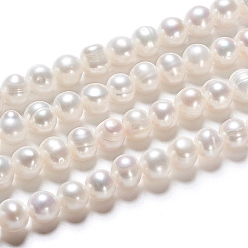 Antique White Natural Cultured Freshwater Pearl Beads Strands, Round, Antique White, 7~8x6~7mm, Hole: 0.6mm, about 25pcs/strand, 7.68 inch(19.5cm)