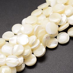Кремово-белый Натуральная оболочка из трохидных оболочек, плоско-круглые, кремово-белые, 6x3~3.5 мм, отверстие : 2 мм, около 62 шт / нитка, 15.75 дюйм (40 см)