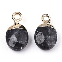 Labradorite Natural Larvikite Charms, Top Light Gold Plated, with Iron Loop, Oval, Faceted, 14~15x8x5mm, Hole: 1.8mm