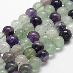 Fluorite Natural Fluorite Bead Strands, Round, Grade AB, 6mm, Hole: 1mm, about 61pcs/strand, 14.9 inch~15.1  inch