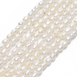 Linen Natural Cultured Freshwater Pearl Beads Strands, Rice, Linen, 1.8~2x2~3mm, Hole: 0.5mm, about 140~142pcs/strand, 14.57"~14.96"(37~38cm)