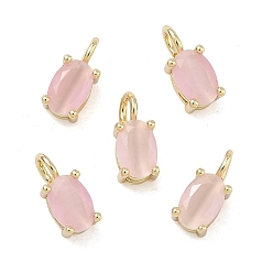 Pink Подвески из латунной кошки, овальный шарм, долговечный, стойки покрытие, без свинца и без кадмия, реальный 18 k позолоченный, граненые, розовые, 9~9.5x4x4 мм, отверстие : 2 мм