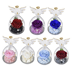 TS03 (beauty models) other color flowers Angel Preserved Flower Rose Glass Cover Christmas Valentine's Day Rose Decoration