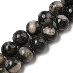 Fossil Coral Natural Black Fossil Coral Beads Strands, Round, 10mm, Hole: 1.4mm, about 40~41pcs/strand, 15.47~15.75''(39.3~40cm)