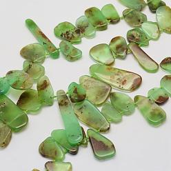 Australia Jade Natural Chrysoprase Beads Strands, Mixed Shapes, 6~15x11~41x1.5~4.5mm, Hole: 1mm, about 46pcs/strand, 16.1 inch