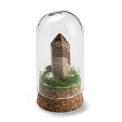 Picture Jasper Natural Picture Jasper Bullet Display Decoration with Glass Dome Cloche Cover, Cork Base Bell Jar Ornaments for Home Decoration, 30x59.5~62mm
