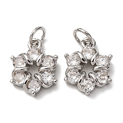 Платина Кулон из циркония, с целью перехода в кольце, , стойки покрытие, долговечный, без свинца и без кадмия, платина, 14x11x3 мм, отверстие : 3.5 мм