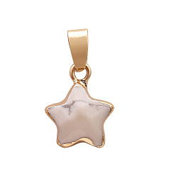 Howlite Natural Howlite Faceted Star Charms, with Golden Plated Brass Findings, 13x13mm