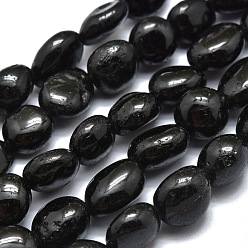 Tourmaline Natural Black Tourmaline Beads Strands, Tumbled Stone, Nuggets, 8~10x7~8x5~6mm, Hole: 0.8mm, about 46pcs/Strand, 15.75 inch(40cm)