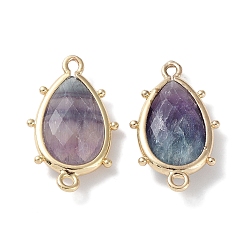 Fluorite Natural Fluorite Connector Charms, with Golden Plated Brass Edge Loops, Faceted, Teardrop, 24x14.5x5mm, Hole: 1.2mm & 1.4mm